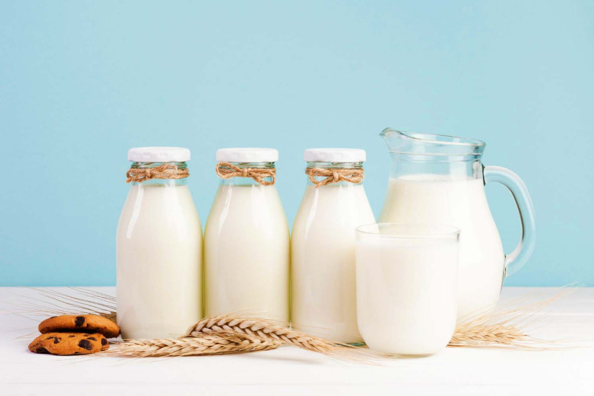 10 цікавих фактів про молоко