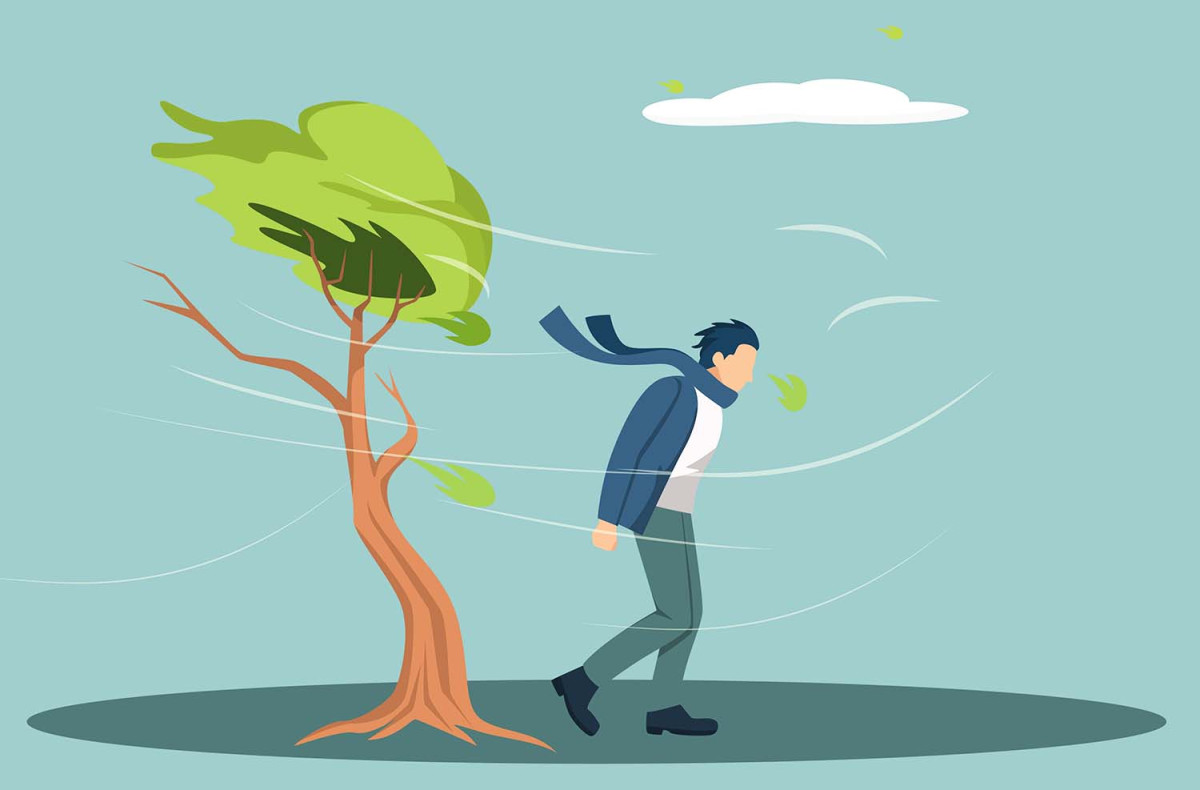 15 цікавих фактів про вітер