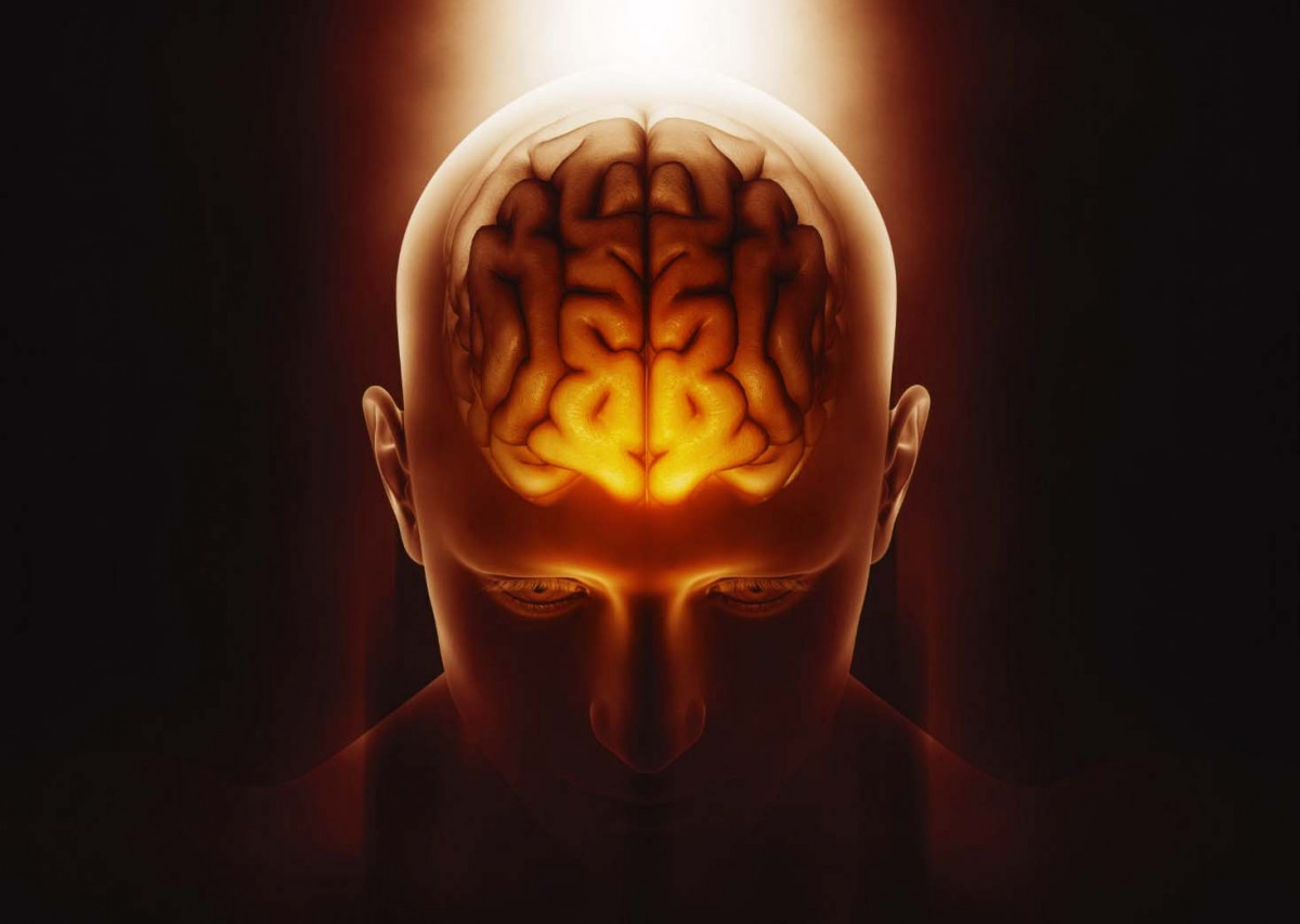 20 цікавих фактів про мозок
