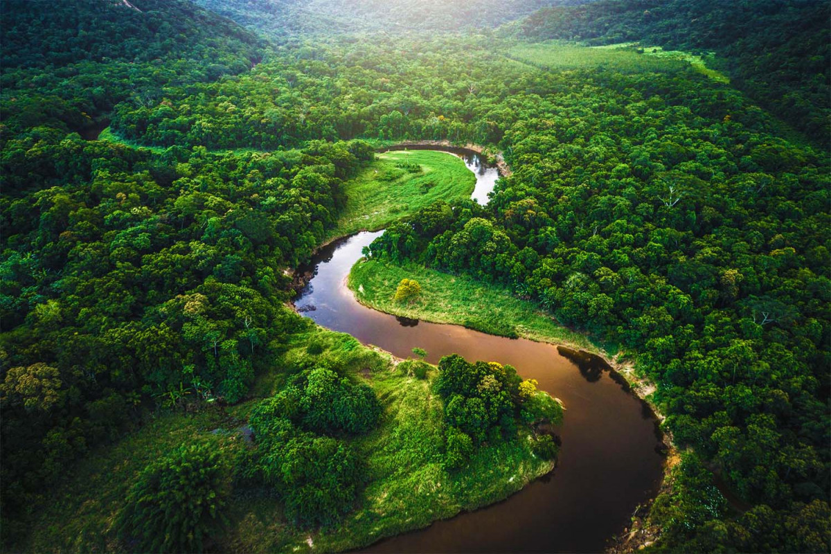 25 цікавих фактів про Амазонку