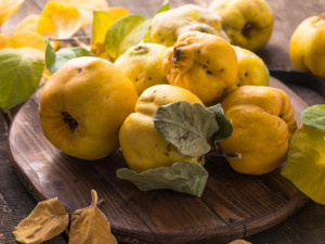 10 цікавих фактів про айву
