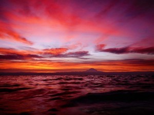 10 цікавих фактів про Червоне море