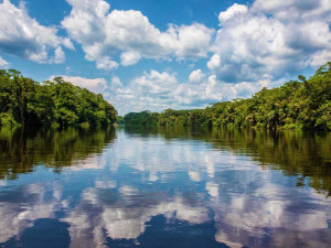 10 цікавих фактів про річку Конго