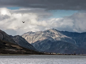 14 цікавих фактів про Берингове море