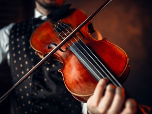 15 цікавих фактів про скрипку