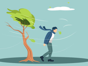 15 цікавих фактів про вітер