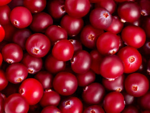 21 цікавий факт про журавлину