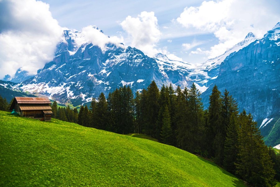 27 цікавих фактів про Альпи