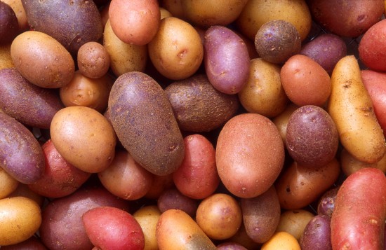 Факти про картоплю