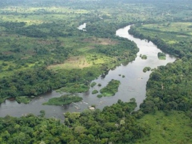 11 цікавих фактів про річку Нігер