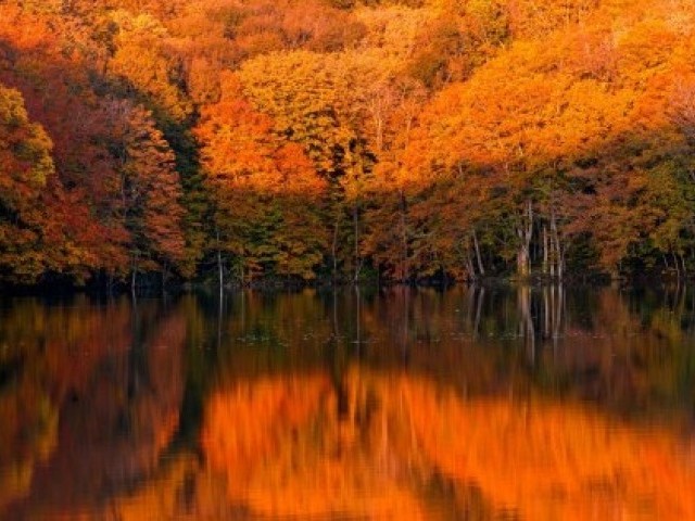 15 цікавих фактів про осінь