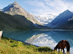16 цікавих фактів про Алтай