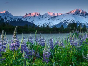 15 цікавих фактів про Аляску