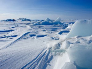 17 цікавих фактів про Північний полюс