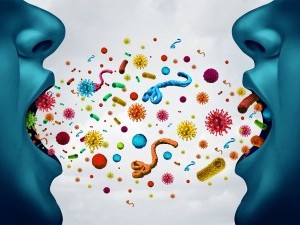 20 цікавих фактів про бактерії