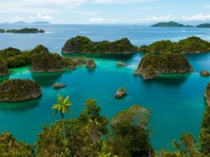 20 цікавих фактів про Папуа - Нову Гвінею