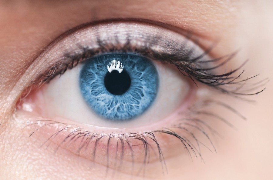 25 цікавих фактів про очі і зір