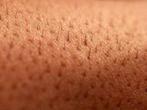 25 цікавих фактів про шкіру людини