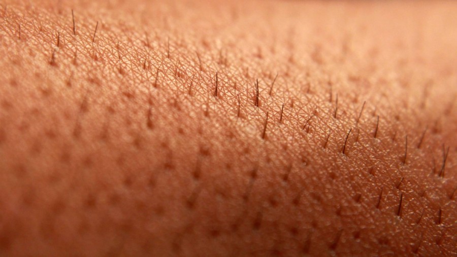 25 цікавих фактів про шкіру людини