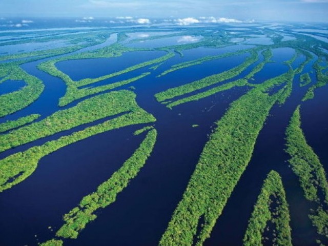 25 цікавих фактів про Амазонку
