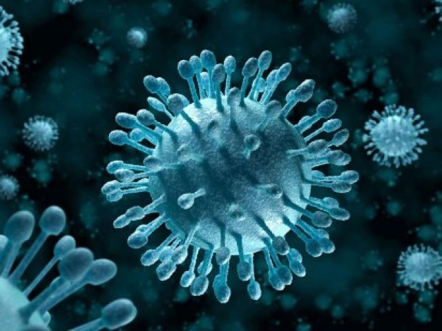25 цікавих фактів про віруси