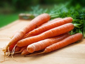 25 цікавих фактів про моркву
