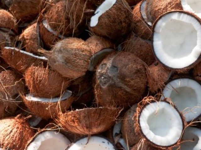 26 цікавих фактів про кокоси