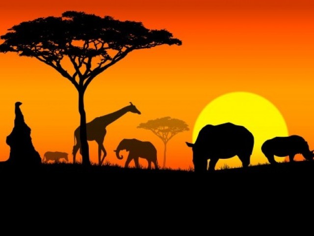 15 цікавих фактів про Африку