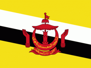 17 цікавих фактів про Брунея