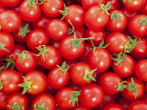 15 цікавих фактів про помідори