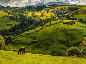 Що привезти з Карпат: не лише сувеніри, а й враження